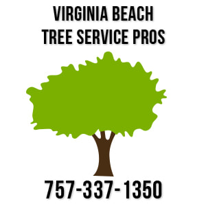 virginia beach tree service