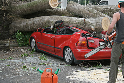 virginia beach emergency tree service